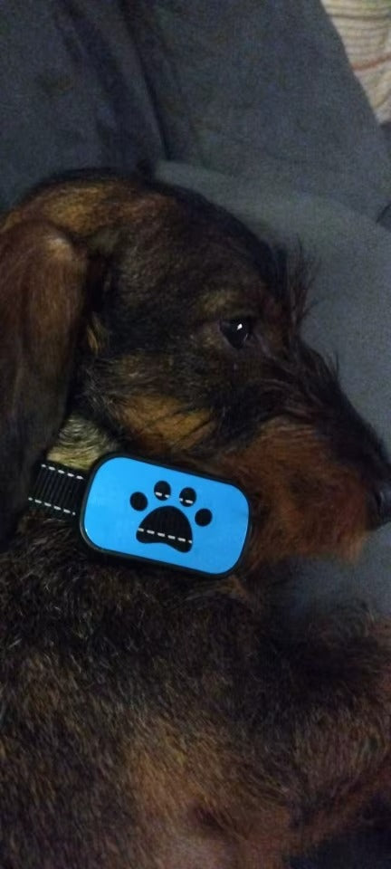 Dog Anti Barking Device