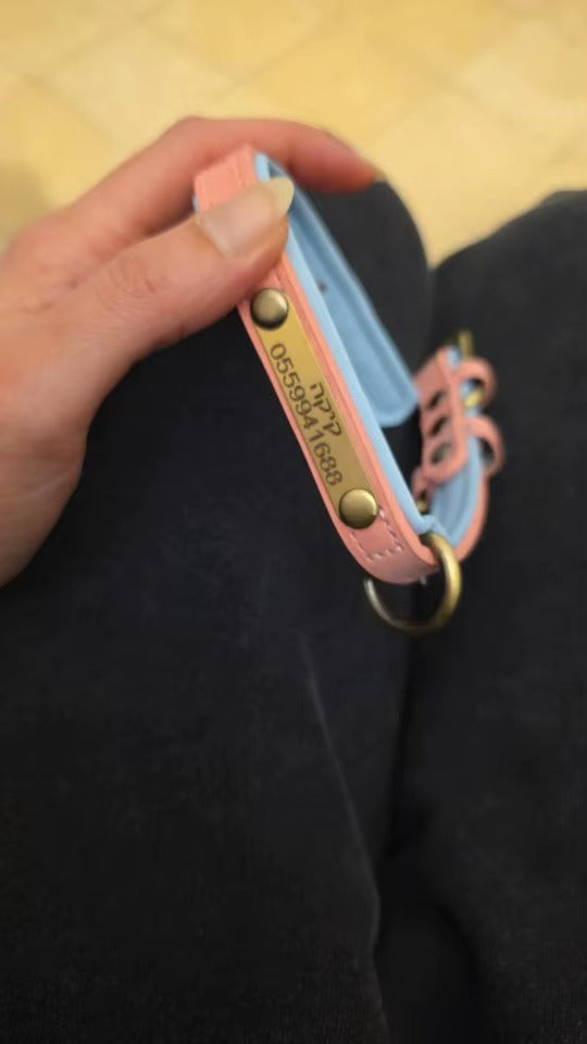 Personalised Pet Collar - Your Pets Name and Your Number