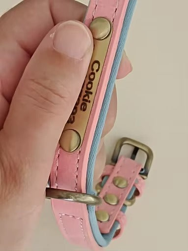 Personalised Pet Collar - Your Pets Name and Your Number