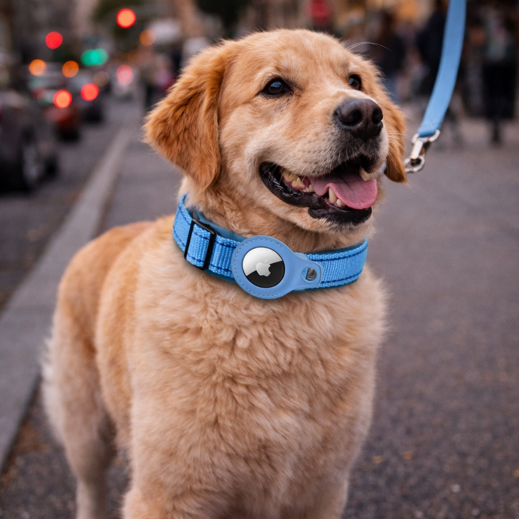 AirTag Holder Reflective Dog Collar