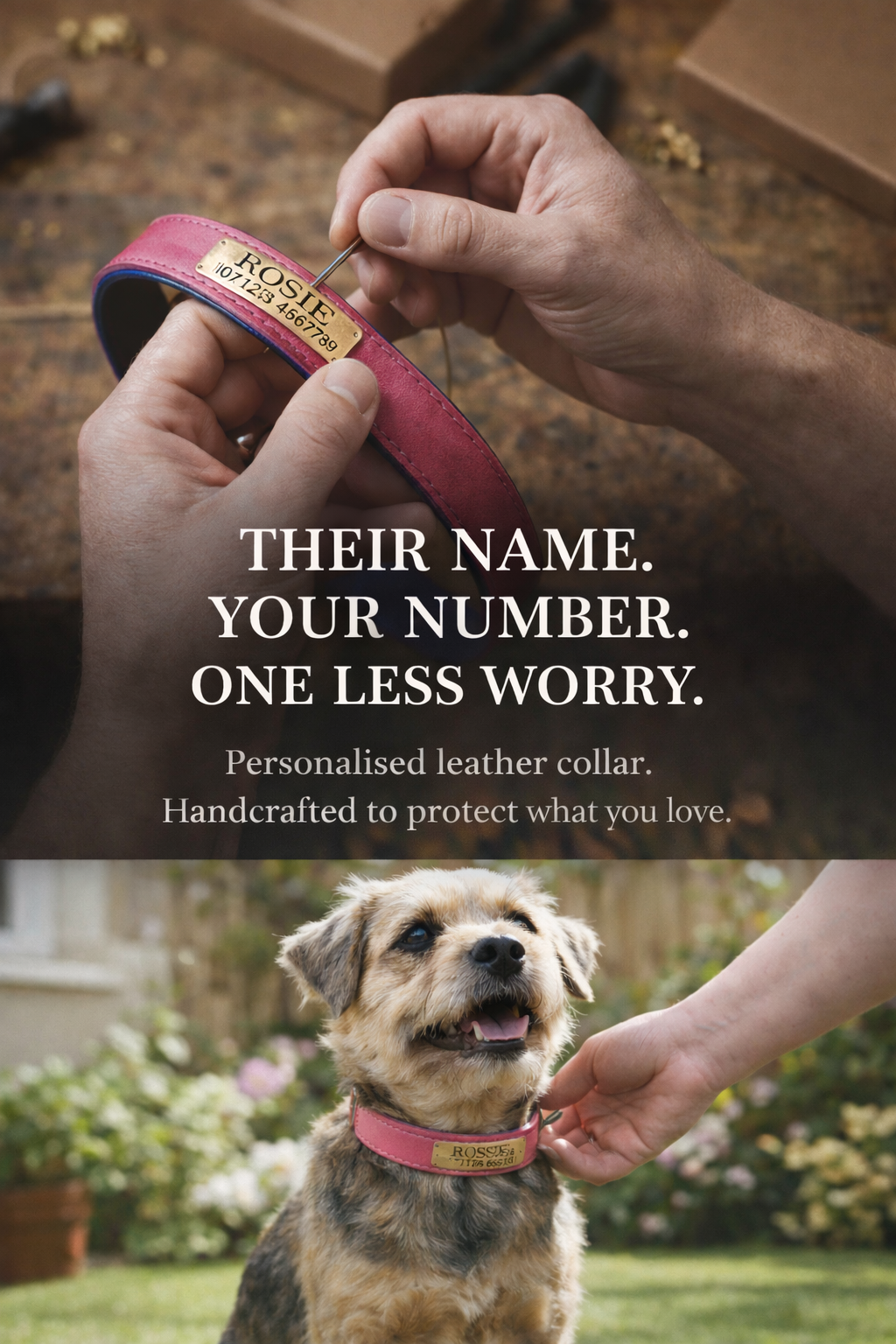 Personalised Pet Collar - Your Pets Name and Your Number