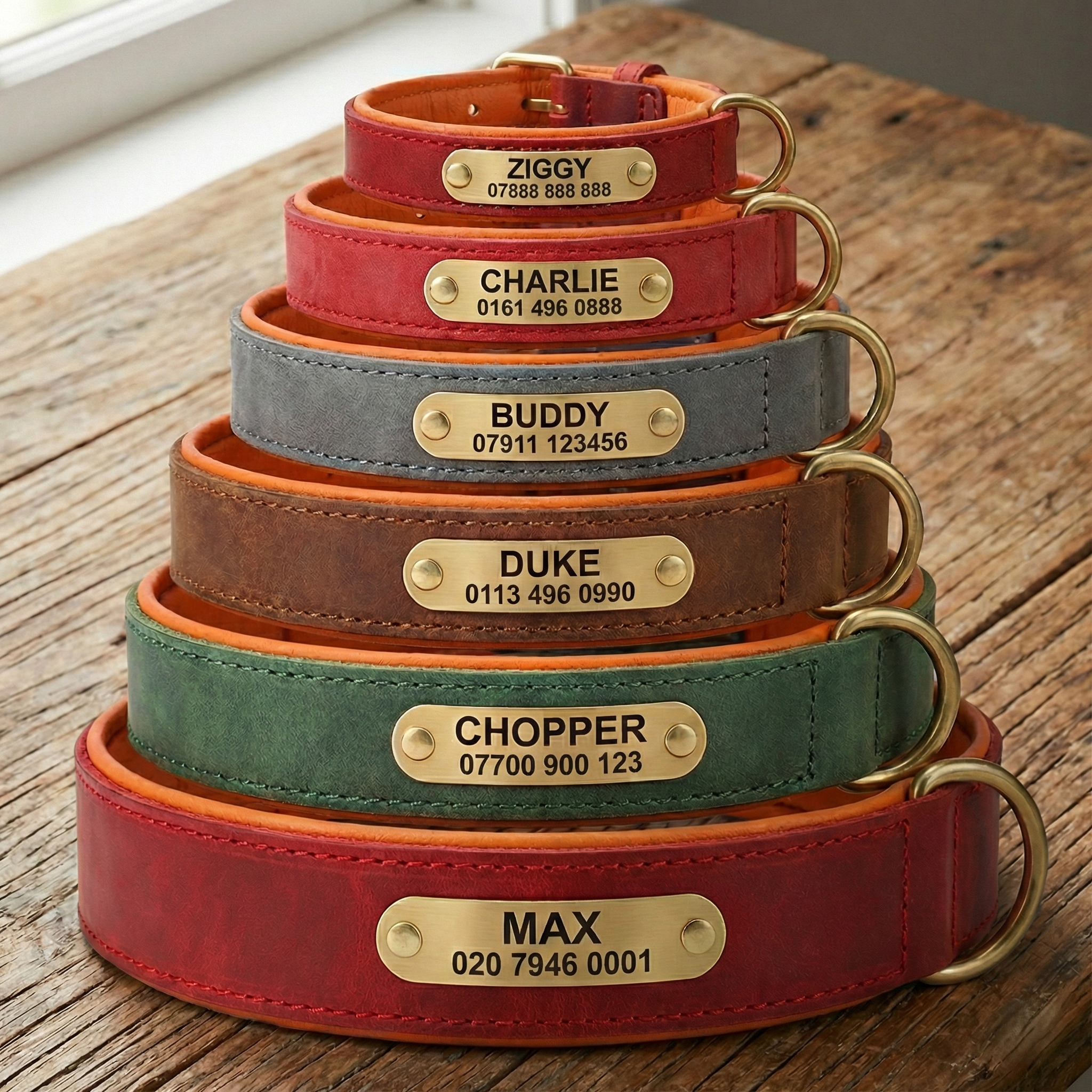 Personalised Pet Collar - Your Pets Name and Your Number