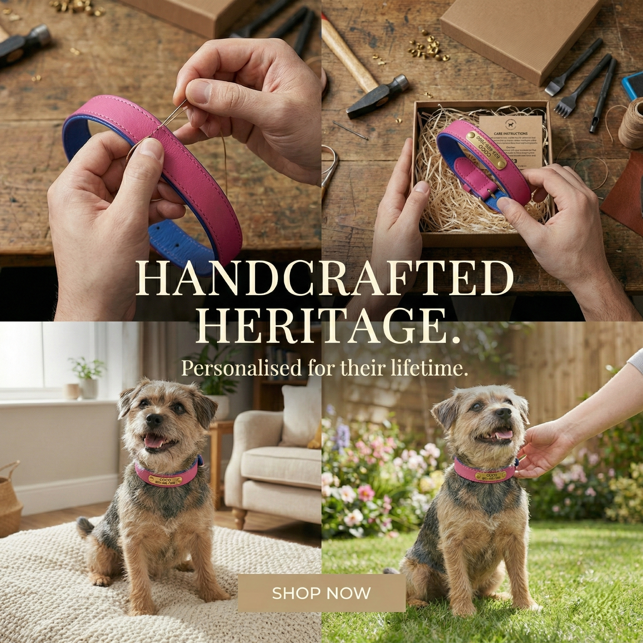 Personalised Pet Collar - Your Pets Name and Your Number
