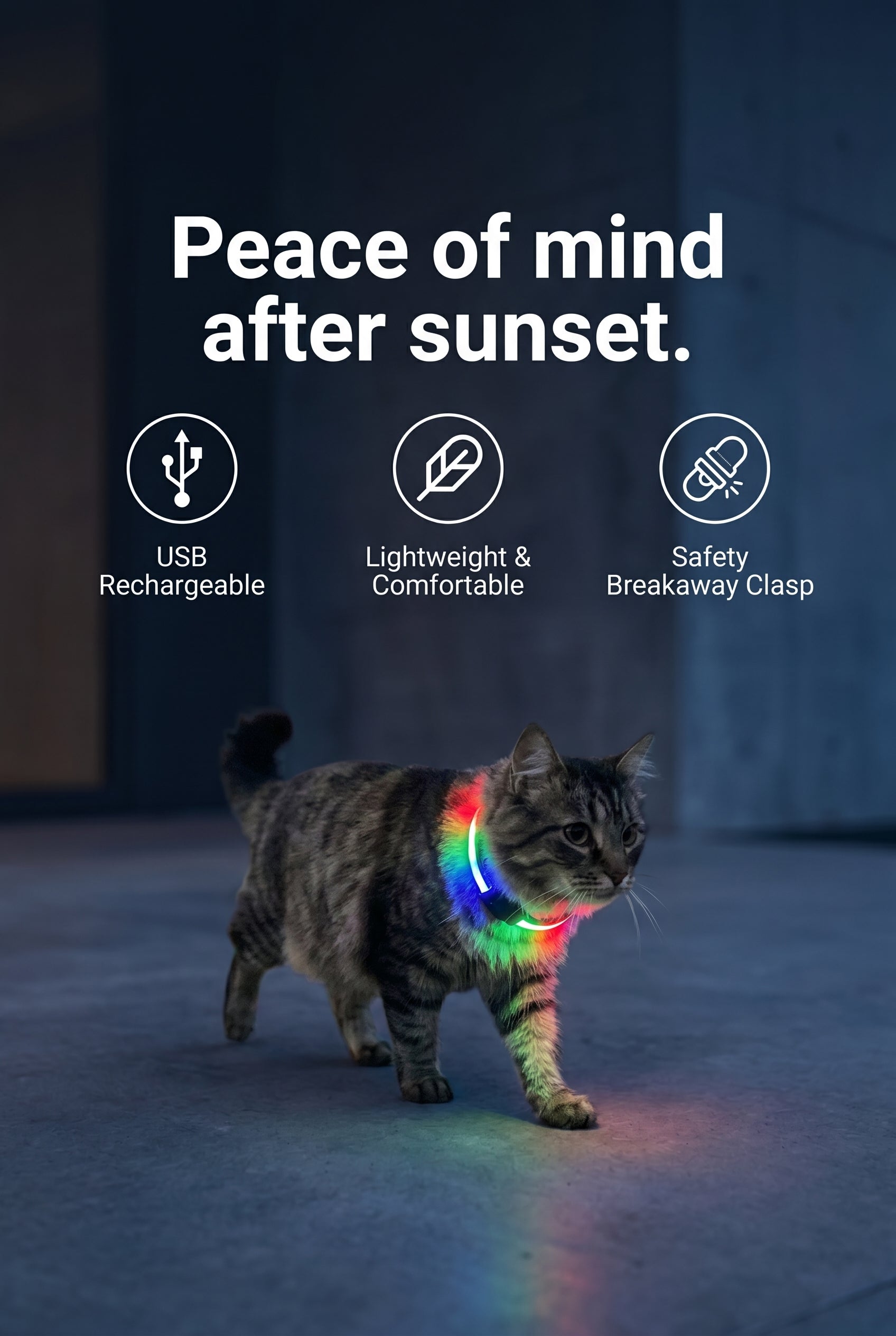 Rechargeable LED Cat Collar