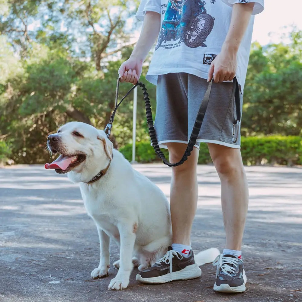 Tactical Dog Leash