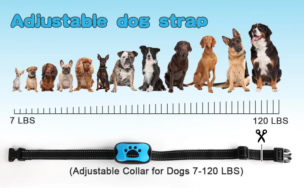 Dog Anti Barking Device