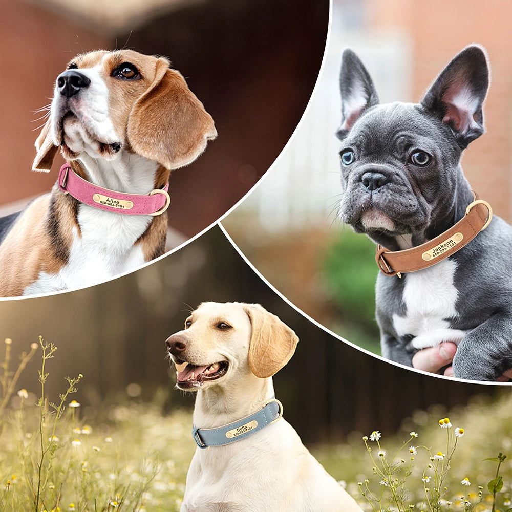 Personalised Pet Collar - Your Pets Name and Your Number