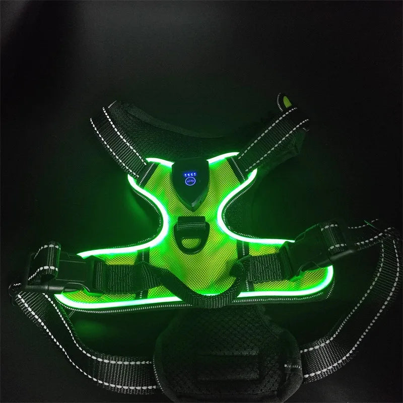 LED Dog Harness