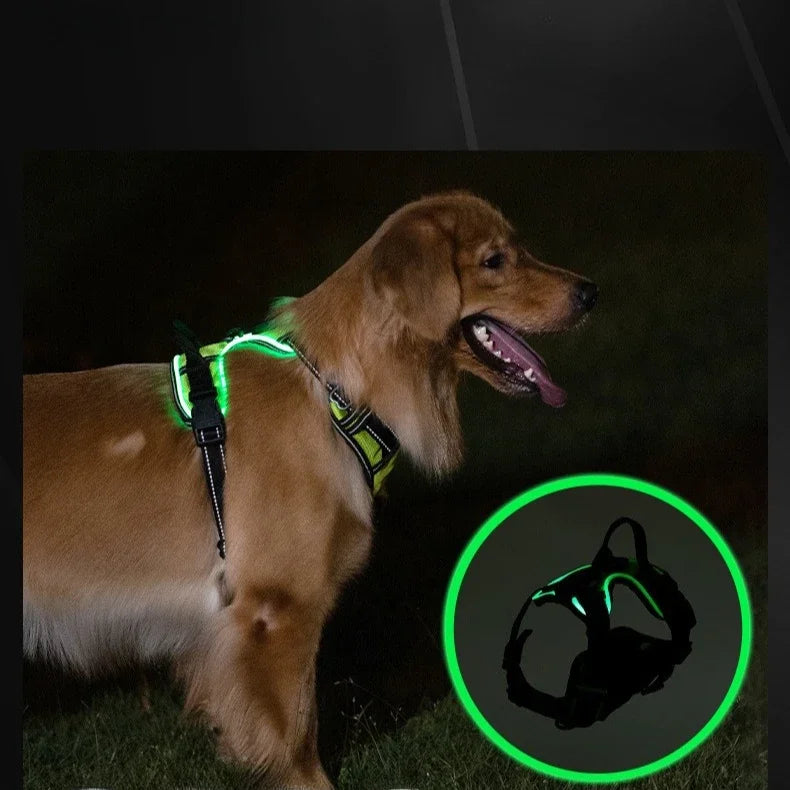 LED Dog Harness