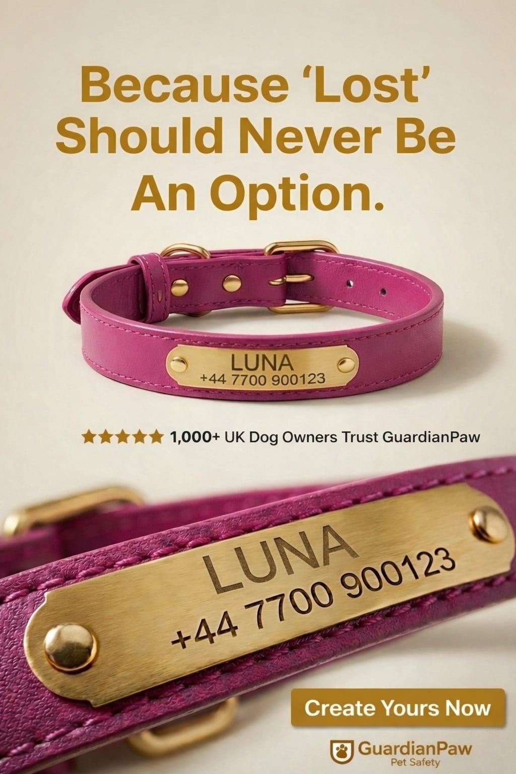 Personalised Pet Collar - Your Pets Name and Your Number