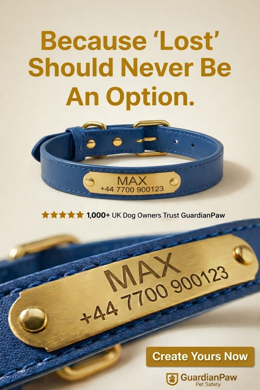 Personalised Pet Collar - Your Pets Name and Your Number