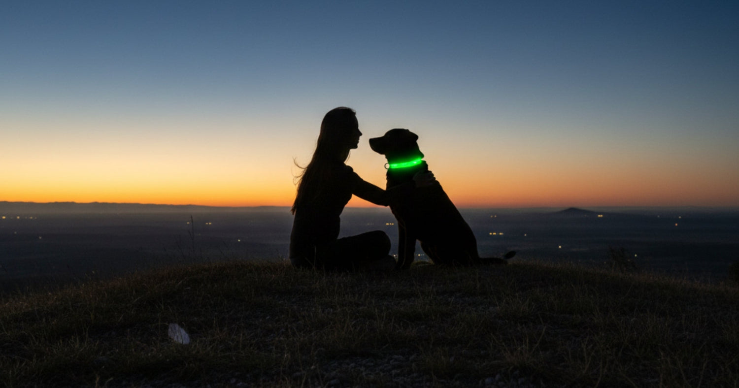 5 Reasons Your Dog Needs a Visibility Upgrade — And How It Can Save Their Life