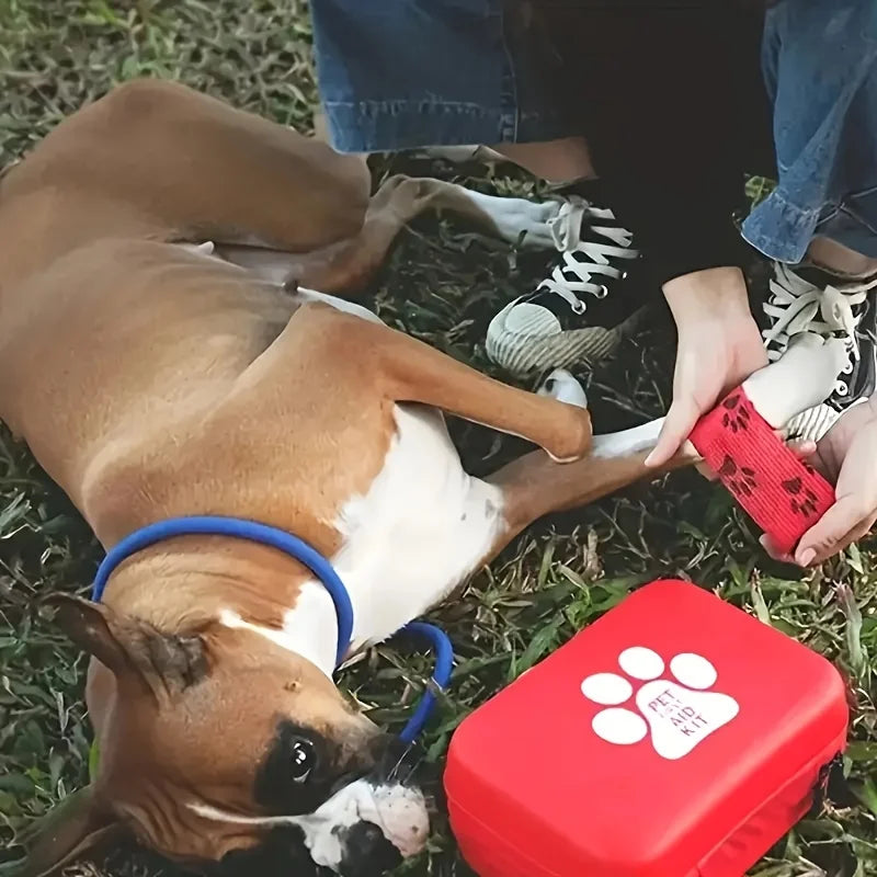 Pet Emergency  and Travel Essentials