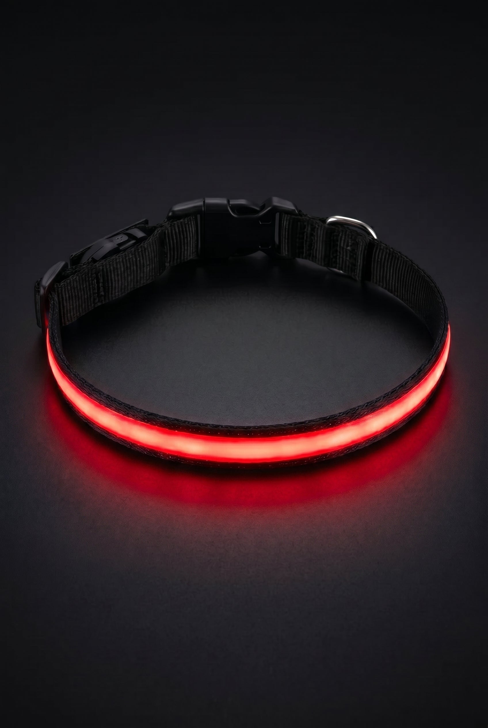 Rechargeable LED Safety Pet Collar - See Your Pet At Night