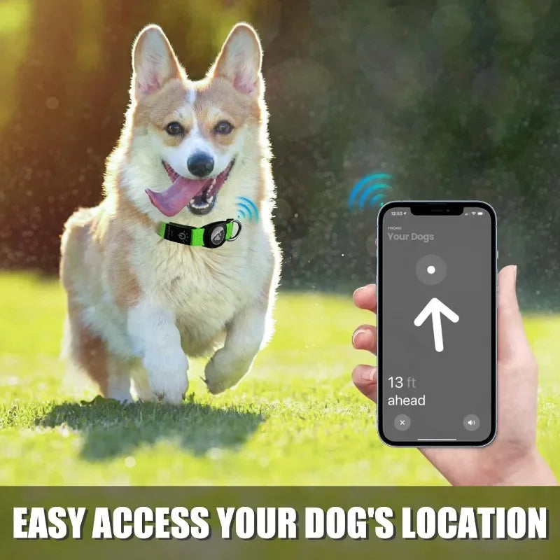 Rechargeable LED Dog Collar with Built-in AirTag Holder