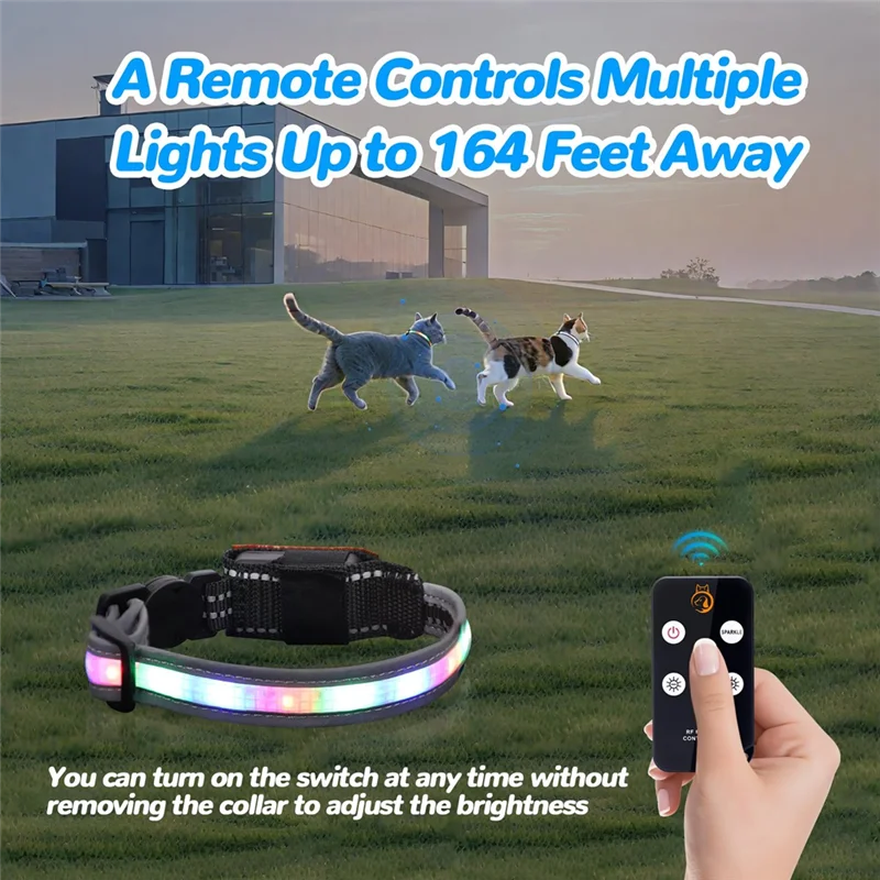 Rechargeable LED Cat Collar