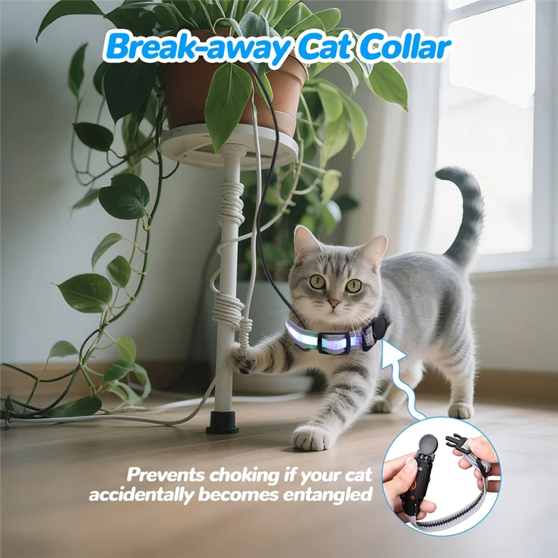 Rechargeable LED Cat Collar