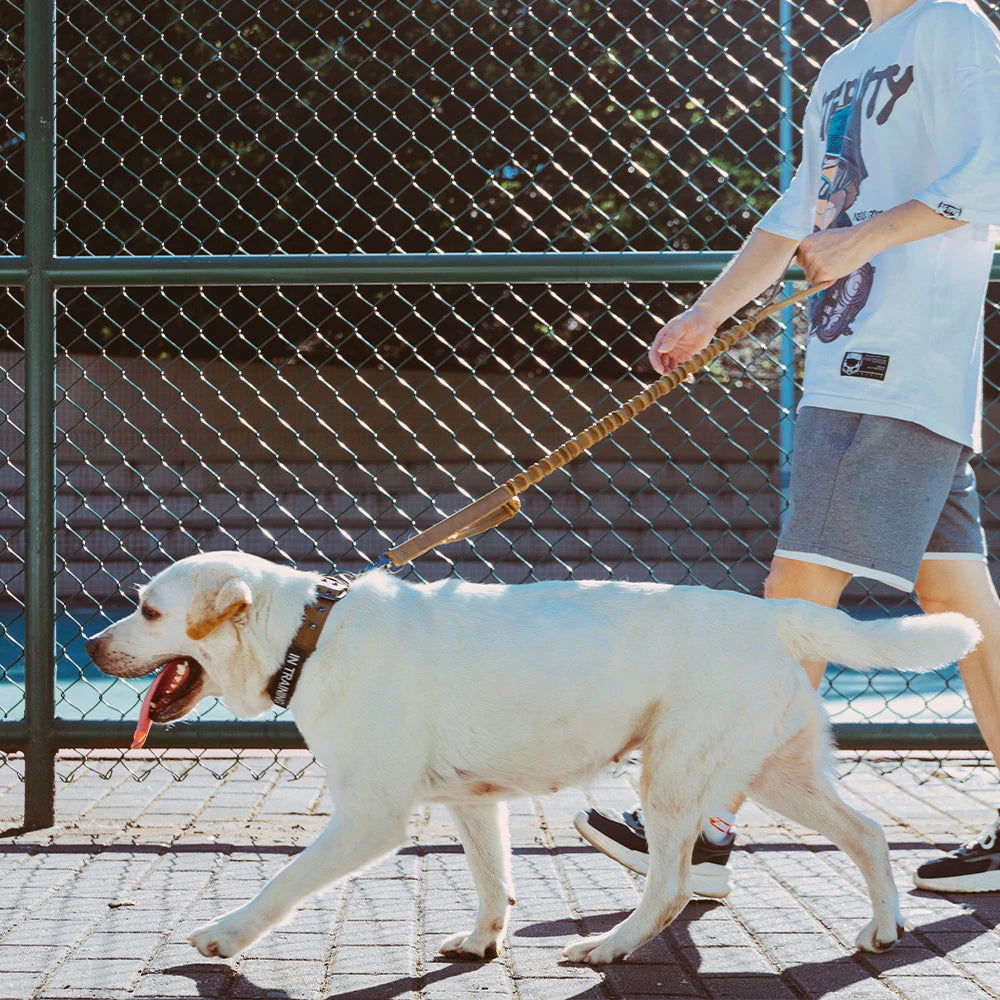Tactical Dog Leash