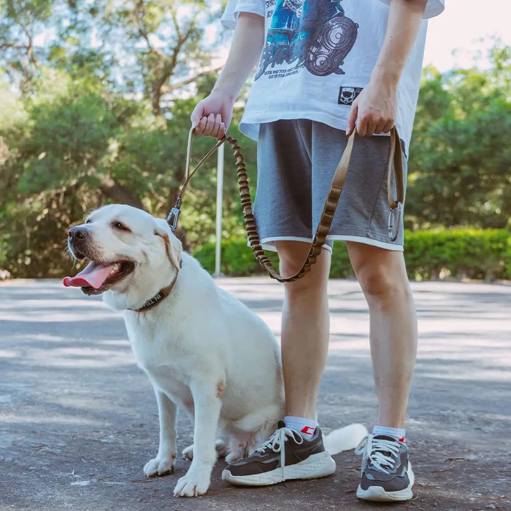 Tactical Dog Leash