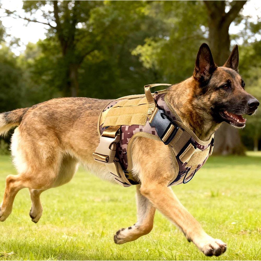 Tactical Harness