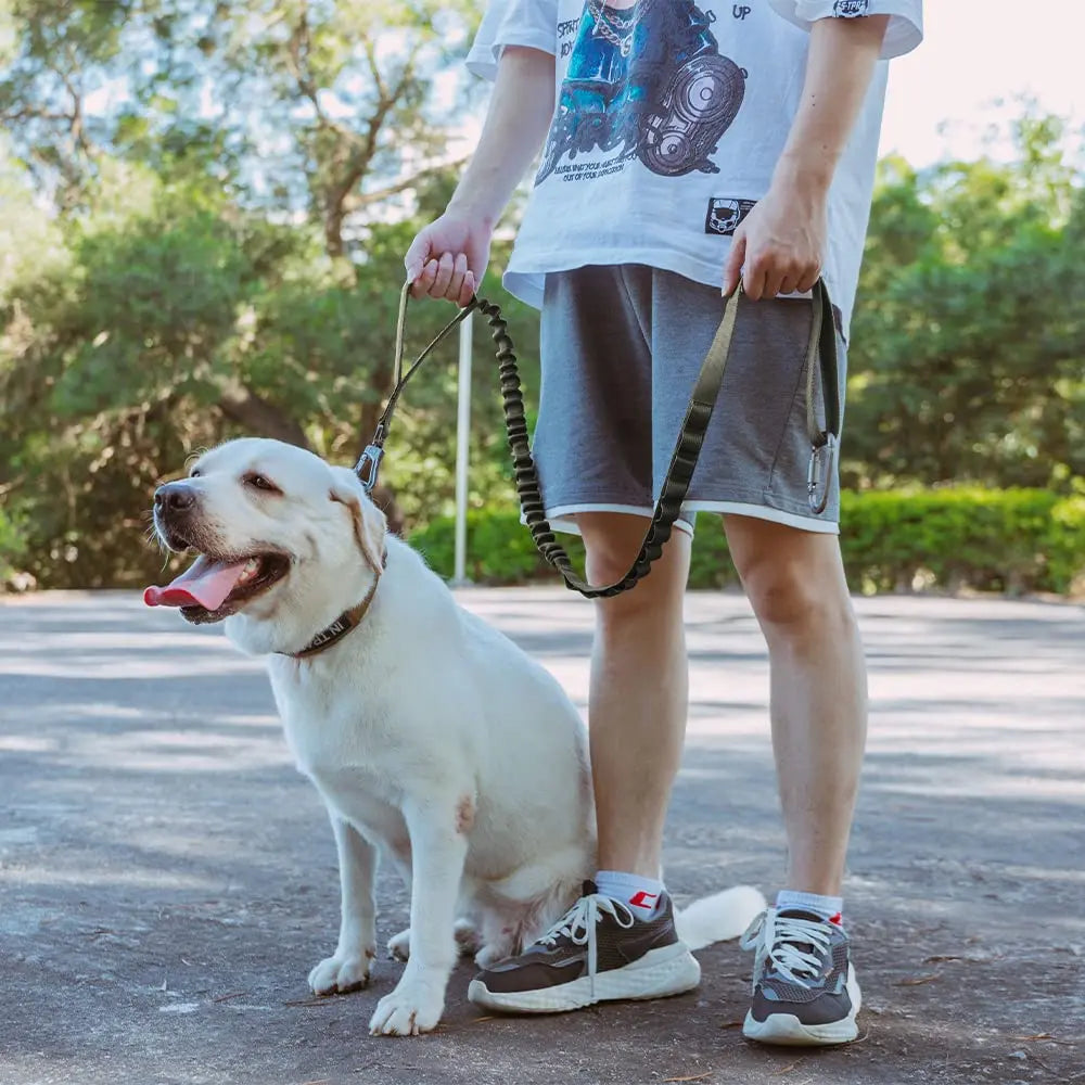 Tactical Dog Leash