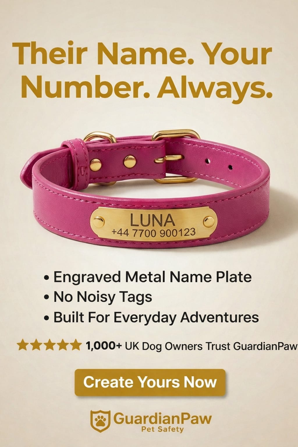 Personalised Pet Collar - Your Pets Name and Your Number
